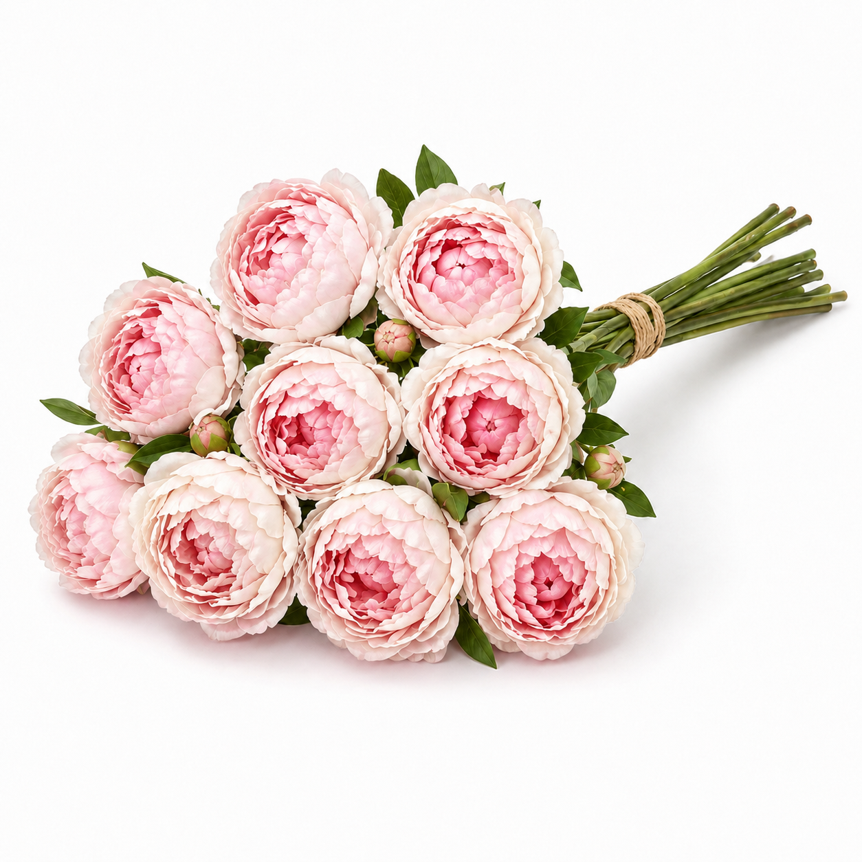 Artificial Peonies